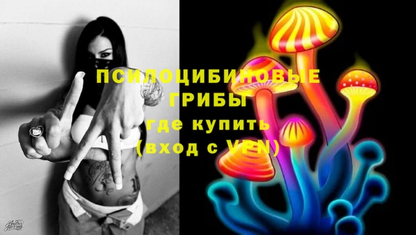 PSILOCYBIN Белоозёрский